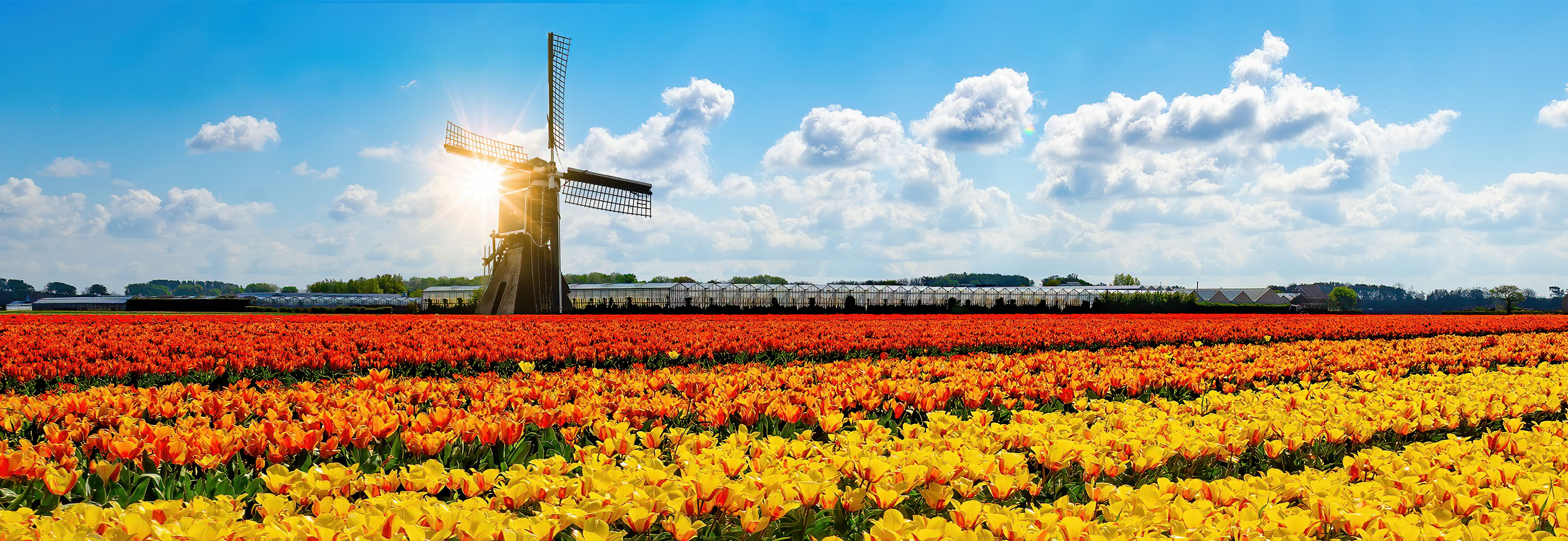 Plan to Spring Forward in 2023